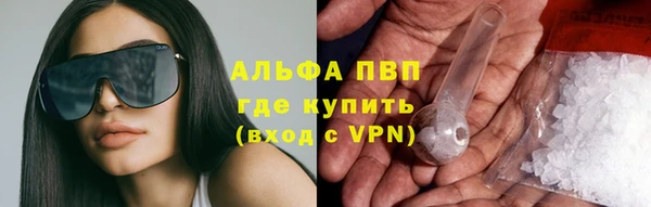прущие крисы Аркадак