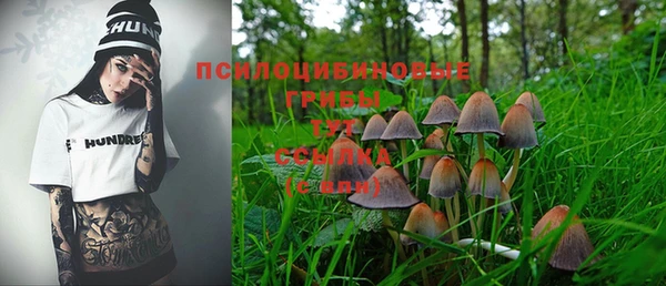 сатива Абдулино